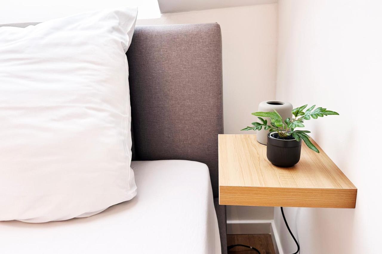 Suite-apartment Zentral In Mit Hohen Decken *